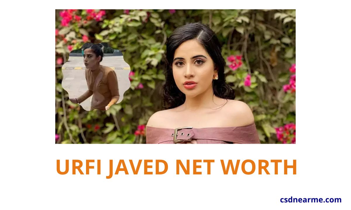 Urfi Javed Net Worth, Biography, Father, Instagram, Serials, Family